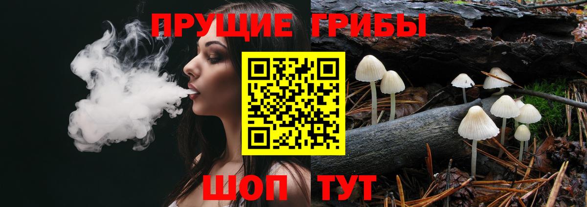 Псилоцибиновые грибы ЛСД Светлоград