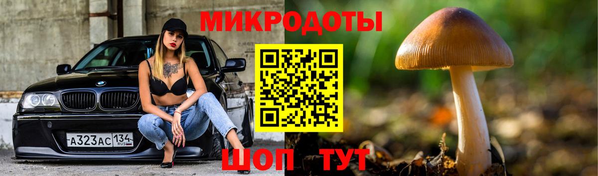 Псилоцибиновые грибы MAGIC MUSHROOMS  Вход с VPN  Светлоград 