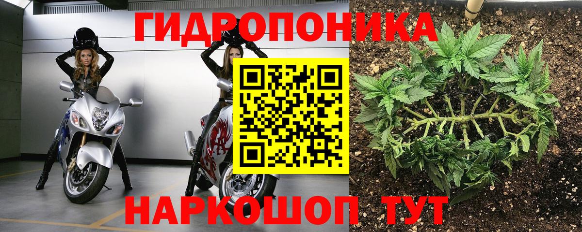 Марихуана гибрид  Вход с VPN  Шишки марихуана Amnesia  Канабис Amnesia  Светлоград 